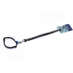 亞馬遜新品緞面拉項寵物用品牽引繩項圈狗繩狗鏈狗狗斷面拉項