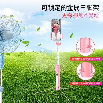 Stick selfie en Acier inoxydable - Ref 3386941 Image 1