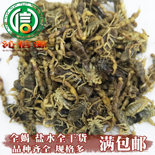 ���M���]��ȫϐ�}ˮȫ��؛ɢ�b�a��ֱ��ȫ�xϐ����Դ��ș�����l