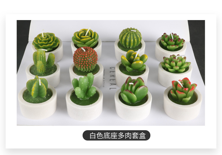 12个有底座多肉套盒_03.jpg