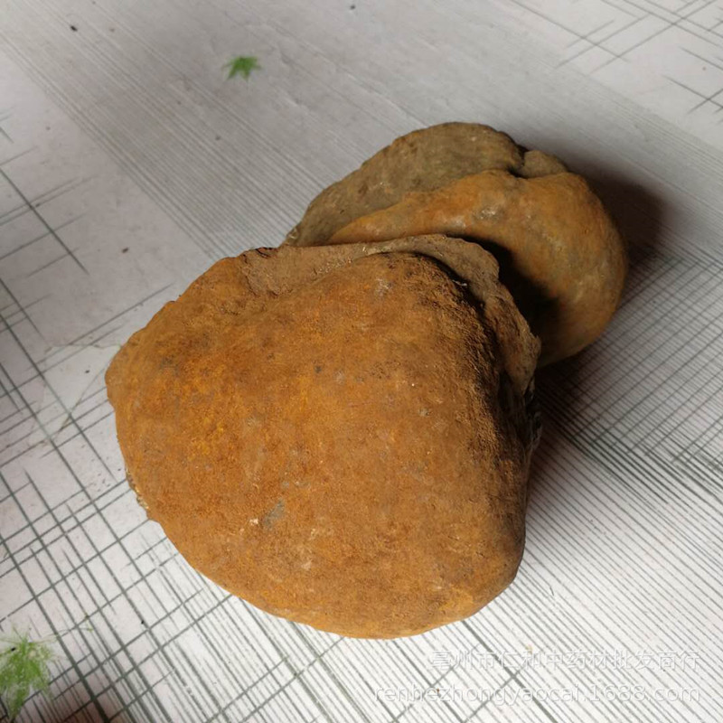Sang Huang Mulberry Yellow Fungus Dried Phellinus 500g Bulk Herbal Ingredient for Cooking and Decoction key features