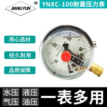 YNXC-100ʽӵѹ0-1.6MPa/2.5MPaͷǱ