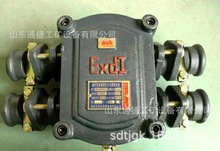 BHD2-40\660-3T\660V�V�õ͉���|�����Ӿ���   �߉���|�Ӿ���