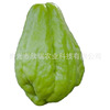 Chayote seed Asparagus seedlings Chayote Spring plant