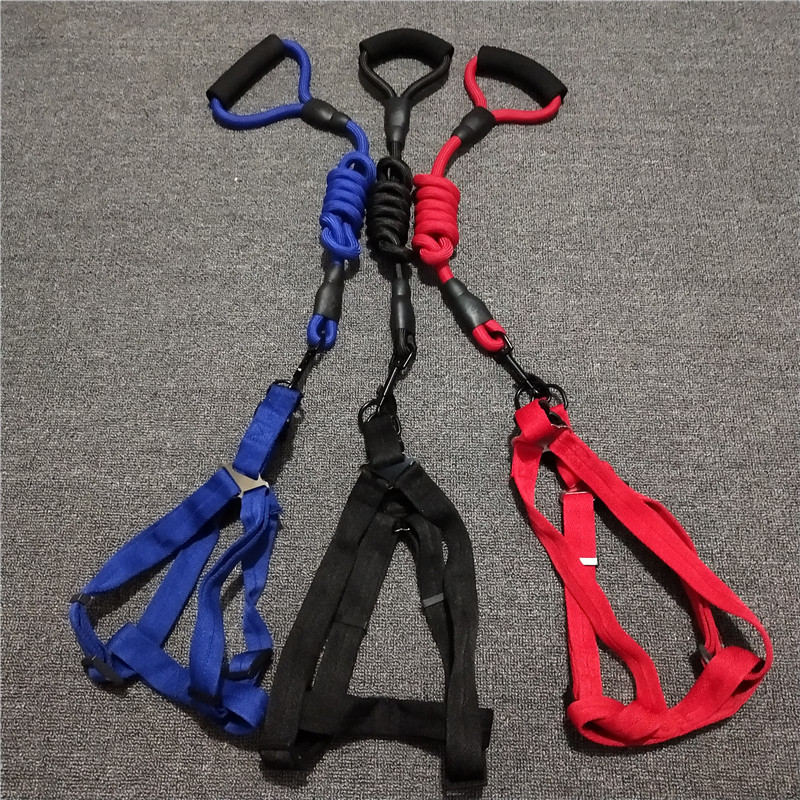 Direct selling Herringbone Leashes Foam handle Dog chain Polyester dog chain Pet Supplies Manufactor
