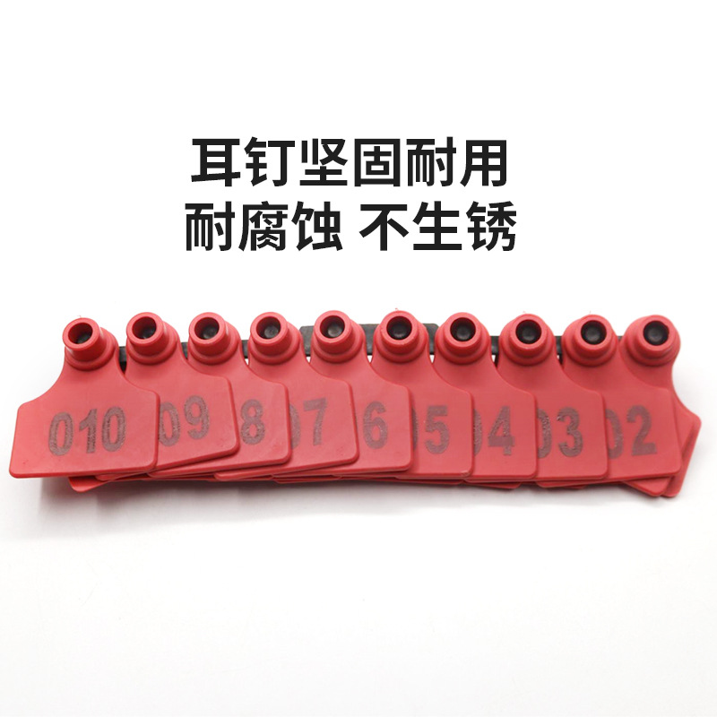 Etiqueta de oreja de cerdo láser con palabras tres colores Etiqueta de oreja de cerdo opcional con número de identificación TPU material Placa de número de oreja de cerdo inmune