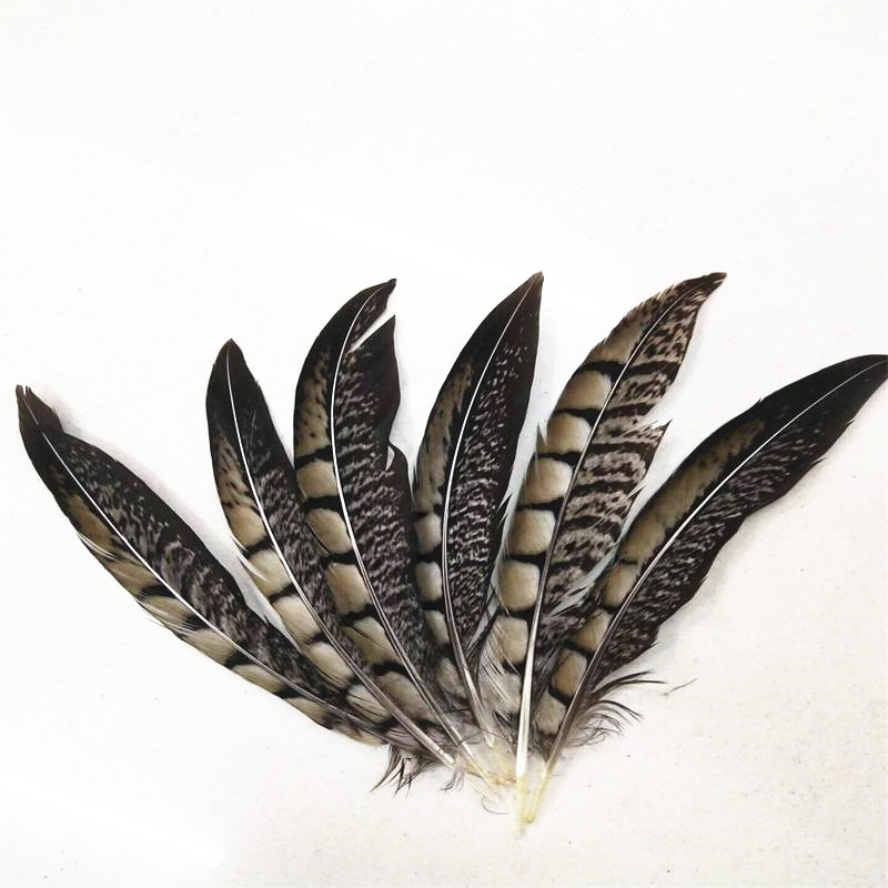 QQ图片20190411135845_副本