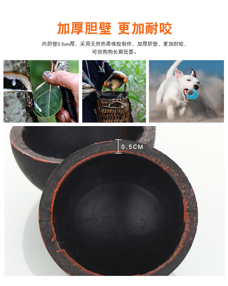 荣昌体育详情7_07