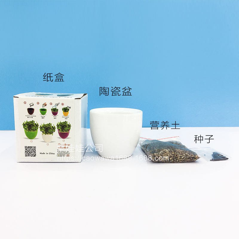 新昌县澄潭镇魔豆草娃娃工艺品厂