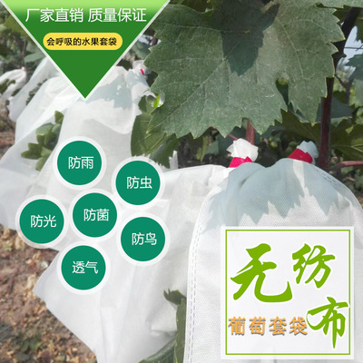 HengYuan Plastic Manufactor sale Wire Non-woven fabric grape Bagging waterproof Bird fruit Bagging ventilation