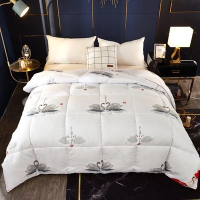 2019新款加厚羽丝绒冬被印花秋冬季磨毛双人春秋被礼品批发被芯|ms