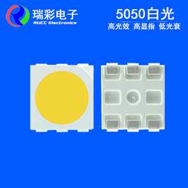 贴片5050白光 led5050白光灯珠 高亮低光衰5050白光工厂直销6000K