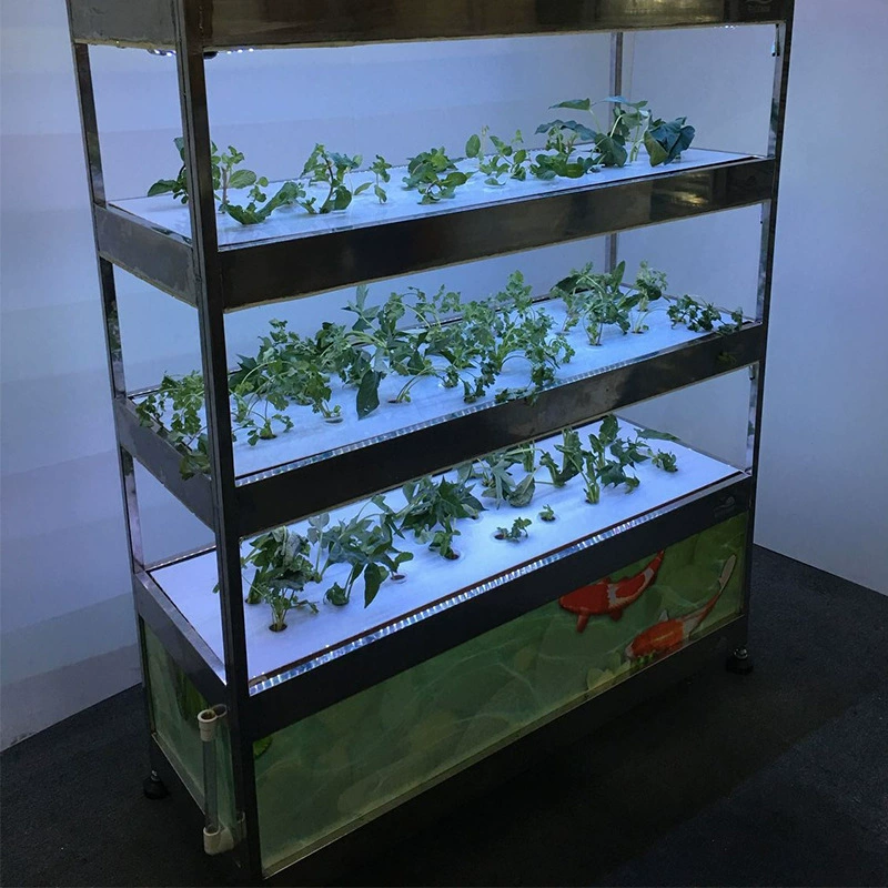 Лавочник рекомендует машину для посадки овощей Tuhao