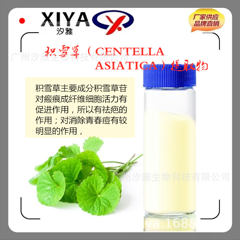 汐雅批发供应积雪草提取物  积雪草苷化妆品原料
