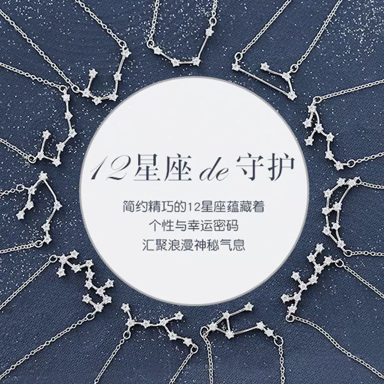 925纯银十二星座项链高级感轻奢小众锁骨链设计感高品质简单颈链