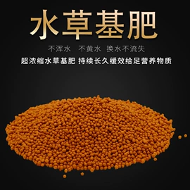 造景/装饰;其它水族用品;造景石