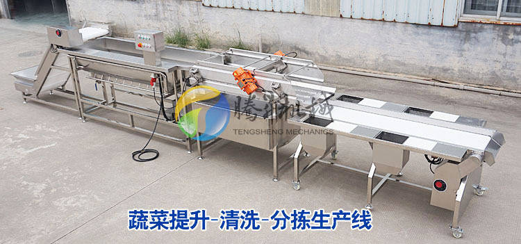 蔬菜提升涡流清洗分拣.jpg
