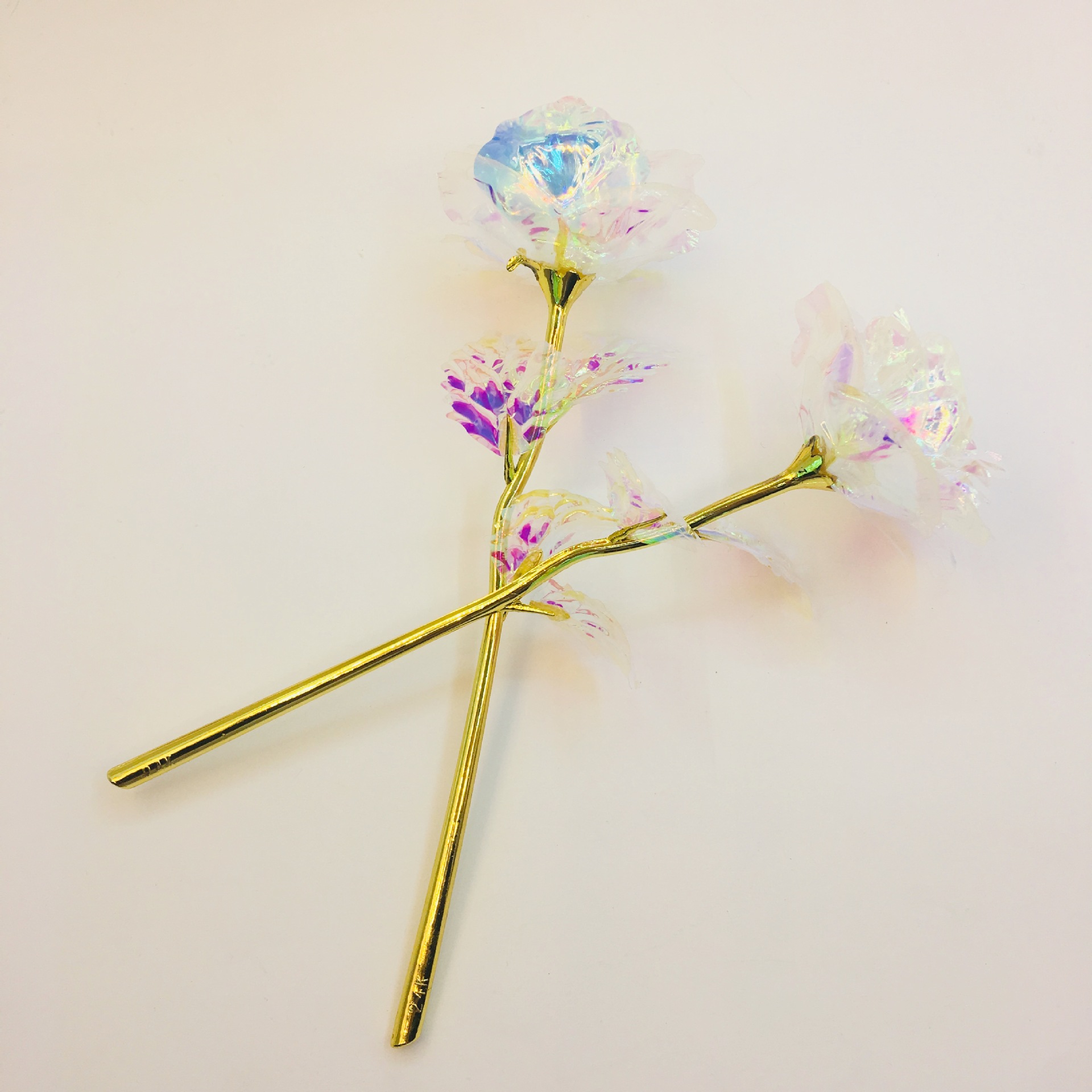 IMG_4982(20190330-045457)