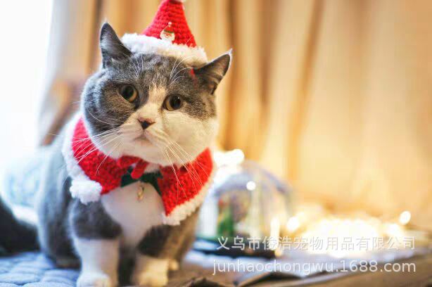 6EDC76976D11FA022869A5FCD02131