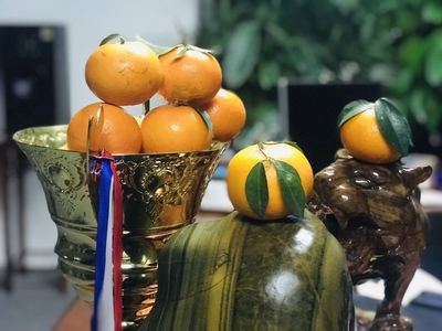 供应广西沃柑 新鲜水果非丑橘果园现摘现发一级果5斤净果一件代发|ms