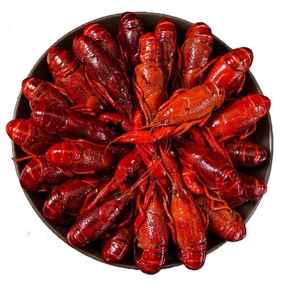 洪湖清水小龙虾熟食麻辣十三香辣口味虾包邮分销代理加盟批发|ms
