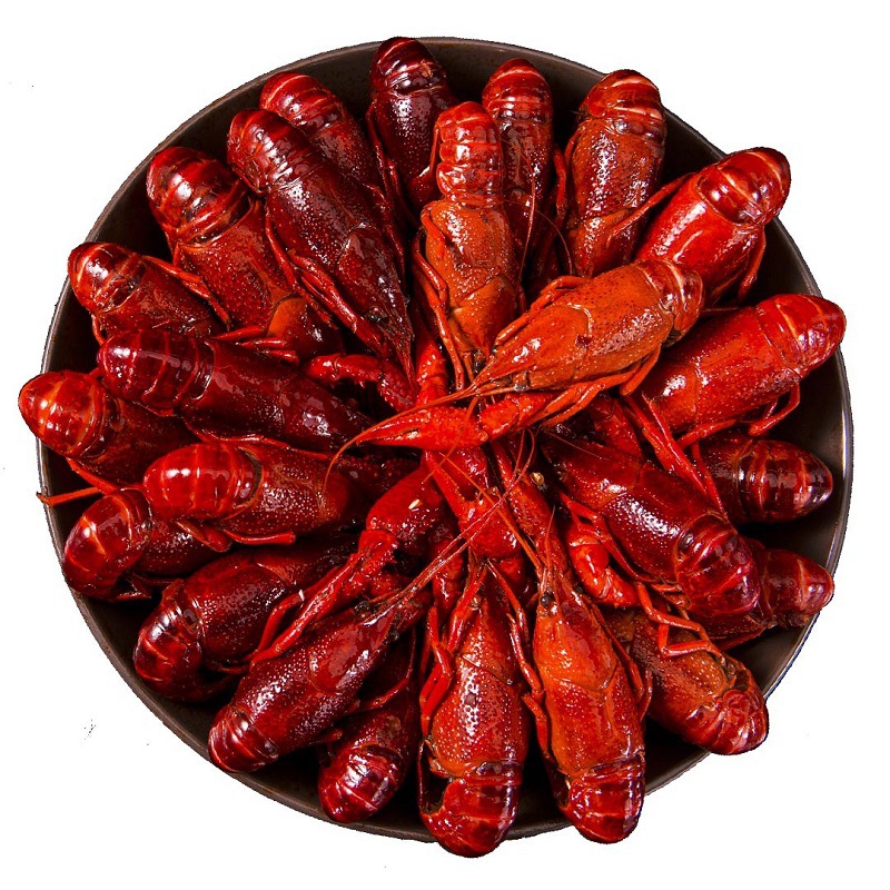 洪湖清水小龙虾熟食麻辣十三香辣口味虾包邮分销代理加盟批发|ms