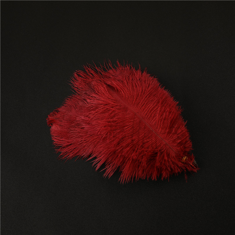 Capture One Catalog14597