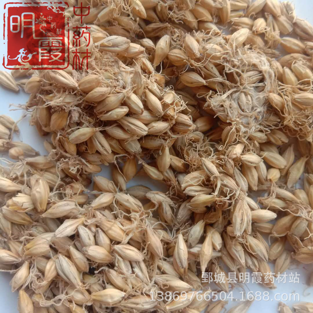 明霞药材  【麦芽】1000克批发零售中药材