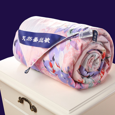 厂家直销蚕丝被芯秋冬夏凉被褥批发会销公司礼品被单双人学生宿舍|ru