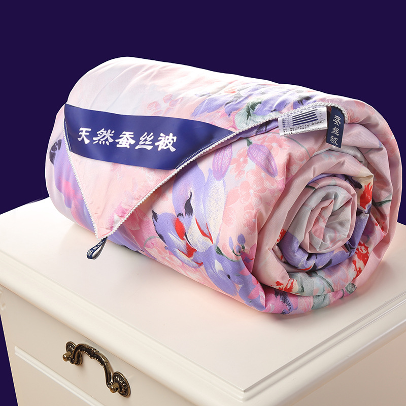 厂家直销蚕丝被芯秋冬夏凉被褥批发会销公司礼品被单双人学生宿舍|ru