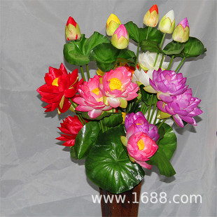 �R���� �߷���˯ɏ ��Ȼ���x�L ��@�L�� ����7�^�ɻ� ����