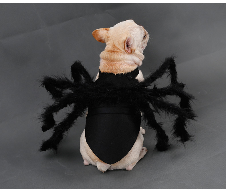 Pet Spider Costume Image 3