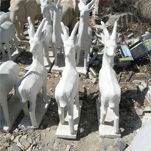 ʯ�����h����ʮ����Ф��ĸ���򹫈@�V��С�^ͥԺ�@���b[��