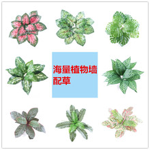 ���S�����[�Ż�ˇ�����҃����b����ϾGֲ�[�Ż�ˇ�����m�Gֲ�[