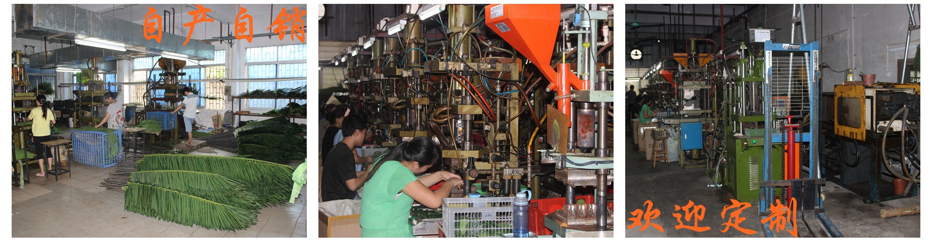 NeoImage_副本_副本