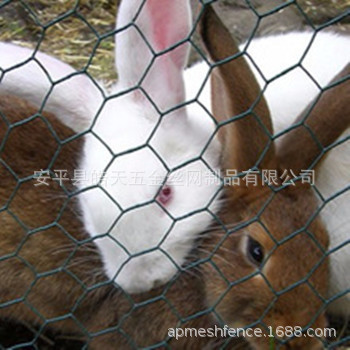 防冲刷防护铅丝笼 堤坝加筋六角网绿色河道防护生态格宾石笼网箱