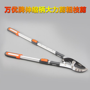 �f������s�X�Ͻ��������  ��֦��  �@�ּ�  �h�ʼ� ��֦�� ���l