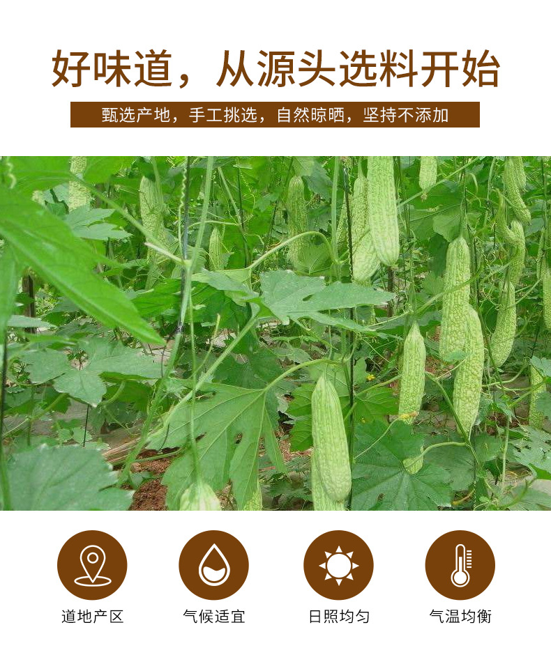 Bitter Melon Slices (Momordica charantia) — Dried Ku Gua Herb for Tea, 70g Jar key features