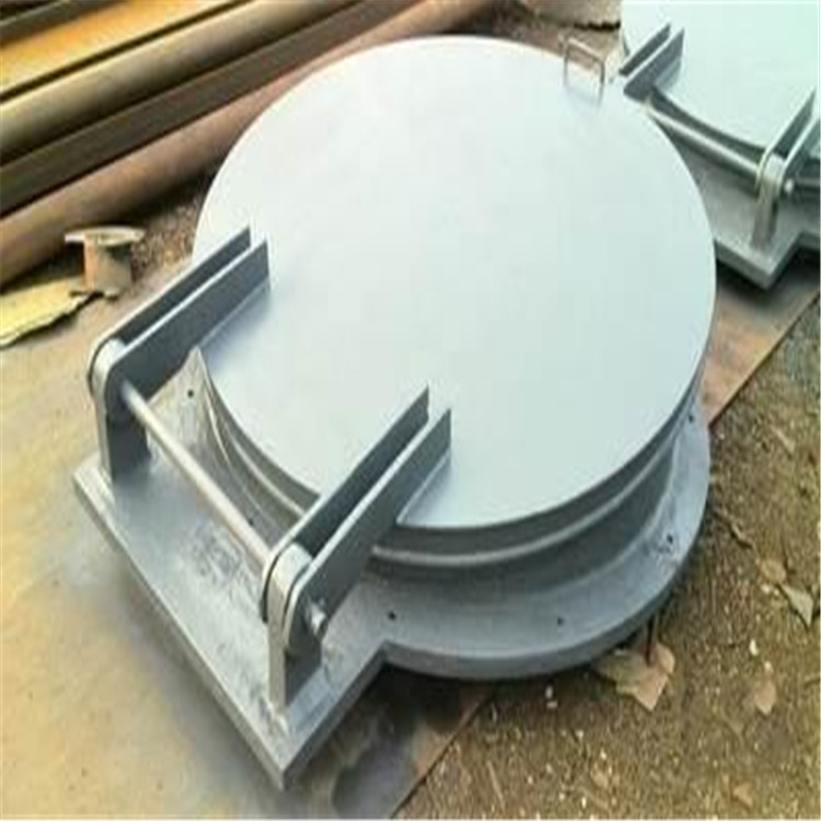 PM-10浮箱拍门PM-10拍门阀PM-10防潮门碳钢拍门阀304不锈钢拍门阀