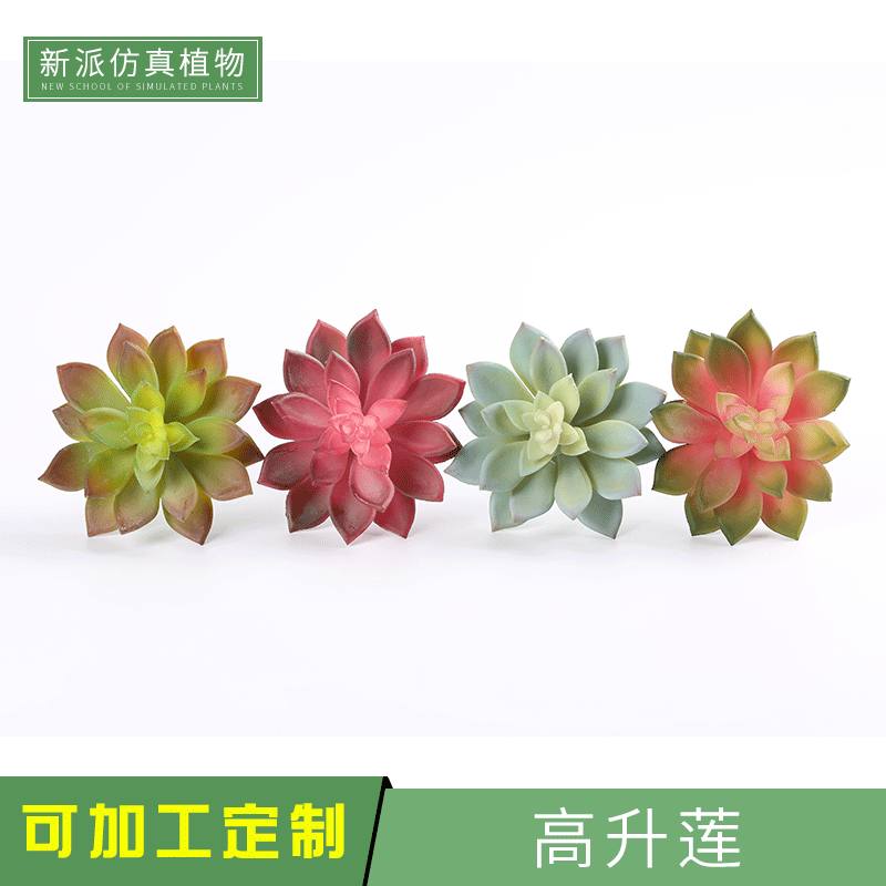 厂家批发仿真多肉小植物高升雪莲塑料植物盆景盆栽塑料花