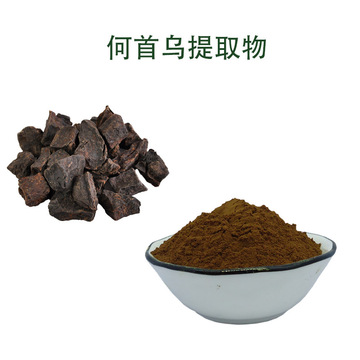 何首乌提取物 10%二苯乙烯苷 品质保障 ** 何首乌浓缩粉