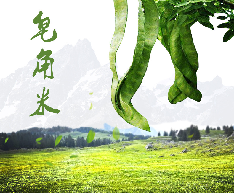 Dried Gleditsia Sinensis Seeds Snow Lotus Seed 500g Double Pod Zao Jiao Mi overview