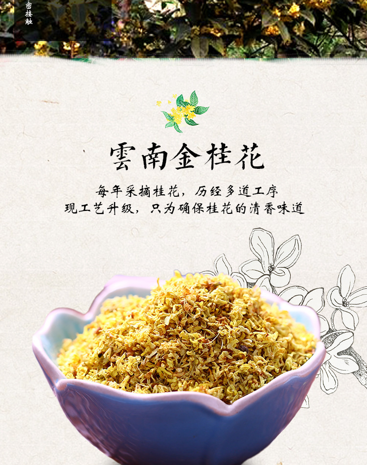 Dried Osmanthus Flowers Gui Hua 500g Loose Golden Osmanthus for Tea and Culinary Use quality and texture