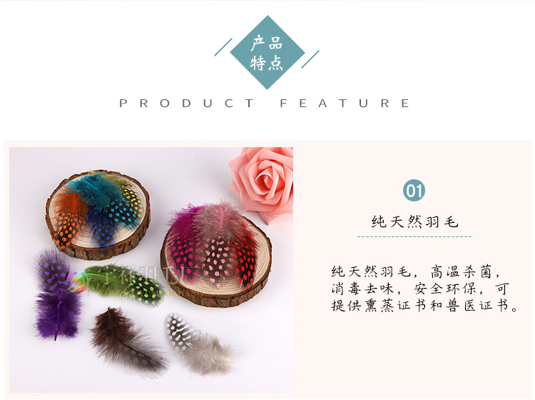 Yuxiang pearl feather_02