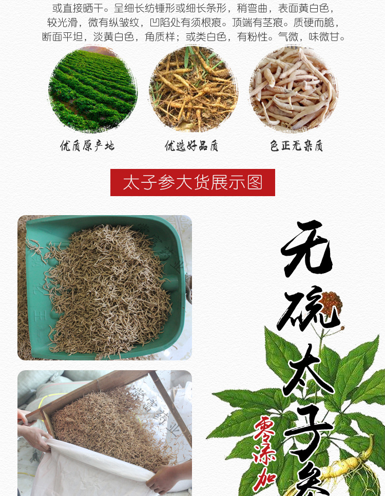 Taizishen Dried Prince Ginseng Root TCM Herb New Crop 500g key features