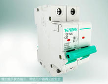 ����С�͔�·��TGB1N-63 2P 6A 10A 16A 20A 25A 32A 40A 50A 63A