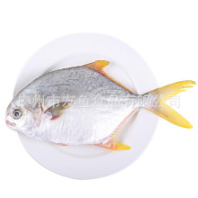 ���l���K�~ ���}�~ ���K�~ ����~ �S���K�~ ������~500-600g/�l