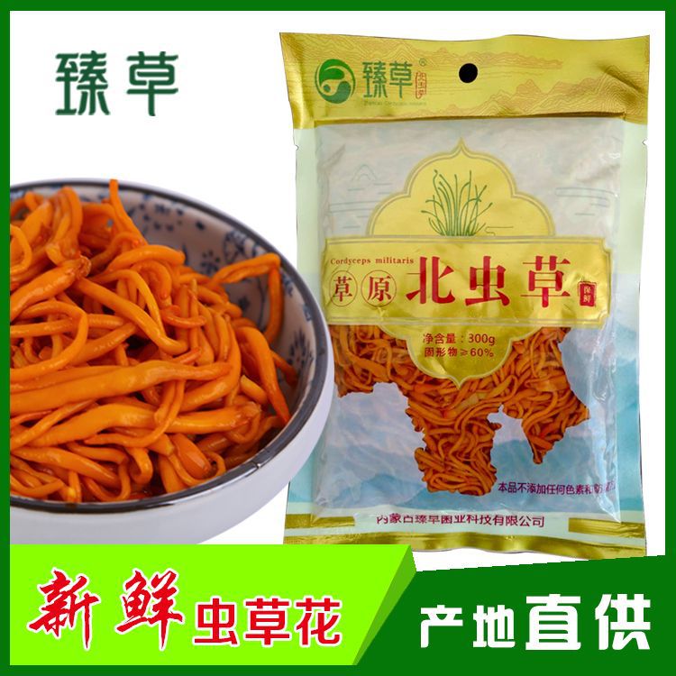内蒙酒店食材保鲜虫草花北虫草新鲜干净方便开袋即可调理批发零售|ms