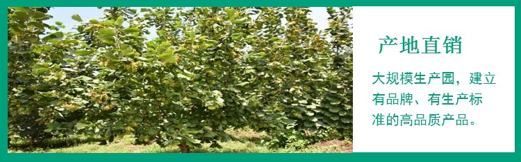 QQ圖片20180414153105