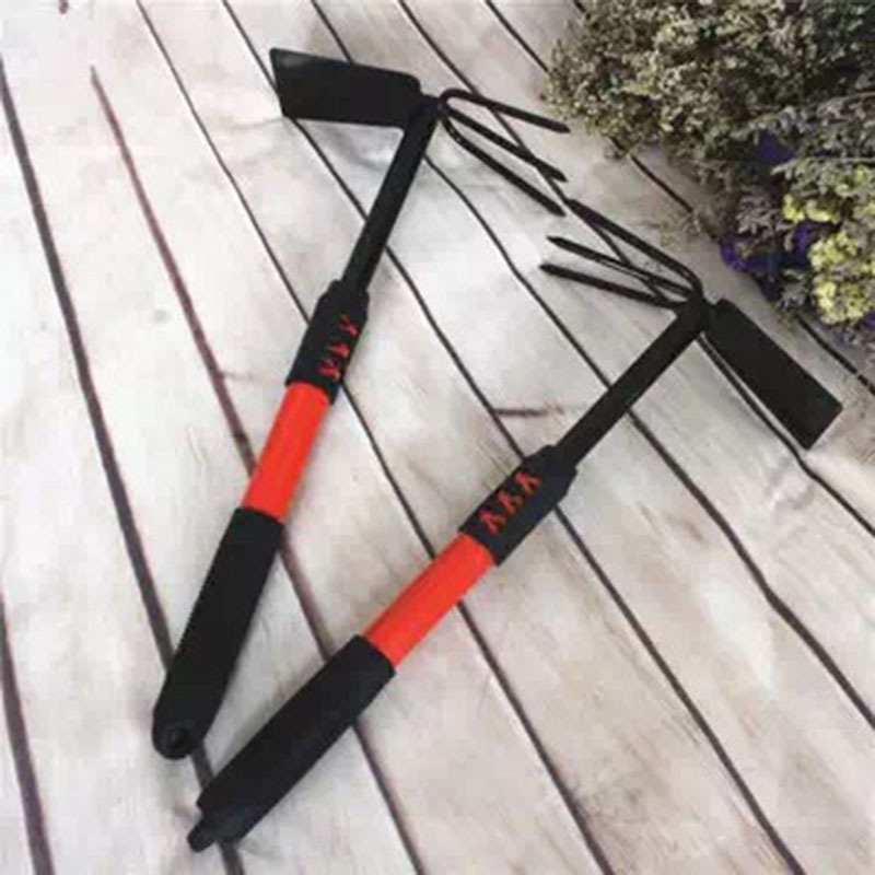 3216799021_1578675911